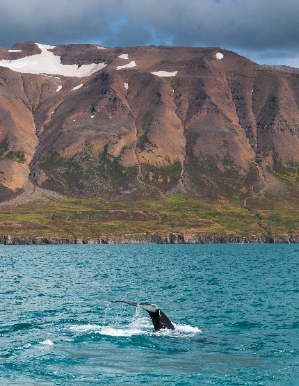DAY2 法蘭克福機場→冰島機場