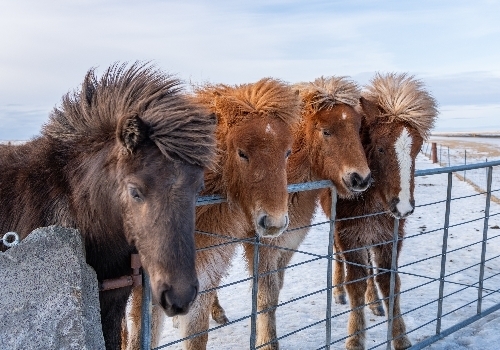 DAY2 法蘭克福機場→冰島機場