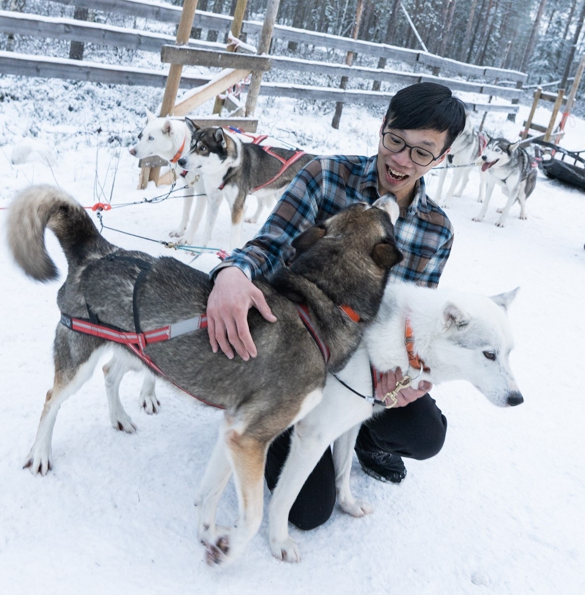 03/09 民宿→馴鹿體驗+哈士奇體驗→奧納斯山→憤怒鳥公園→民宿