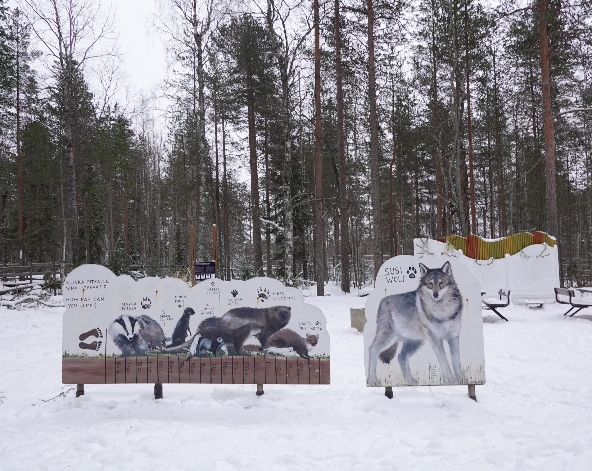 03/10 民宿→拉努阿動物園→民宿