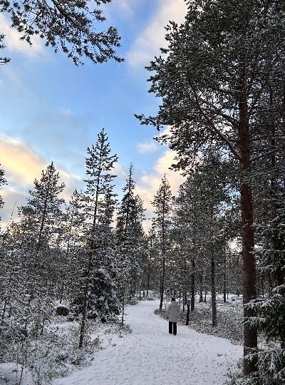 03/11 民宿→Vikaköngäs登山→民宿→龍蝦裝