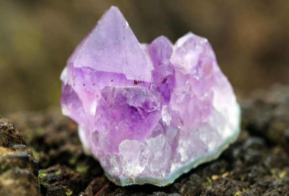 玻璃屋 → 洛斯托國家公園(礦產體驗) → 民宿 → 極光之夜