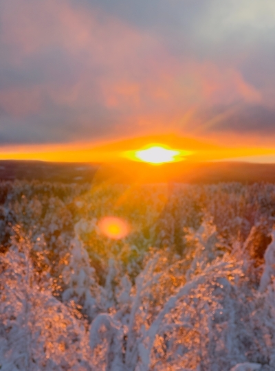 民宿 → Vikaköngäs登山 → 民宿