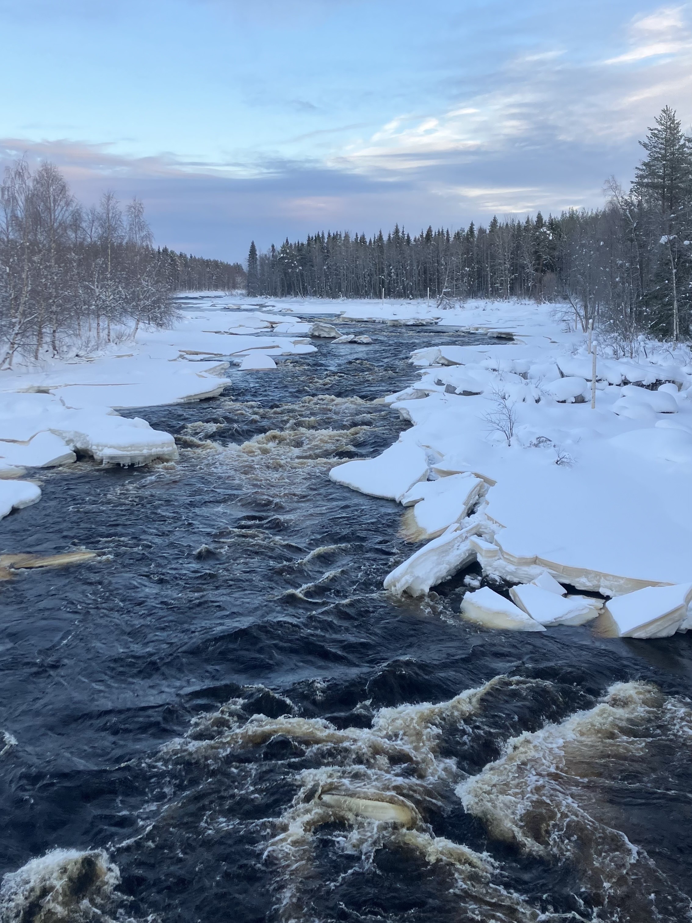 03/11 民宿→Vikaköngäs登山→民宿→龍蝦裝