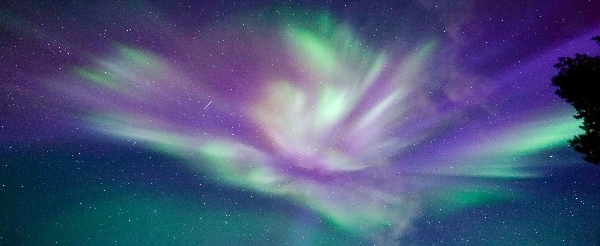 民宿→鎮上自由活動→國內航班(羅瓦涅米✈赫爾辛基)