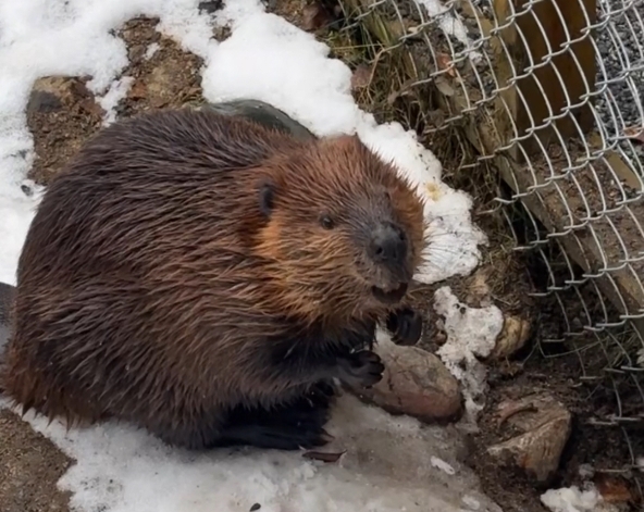 民宿→拉努阿動物園→民宿